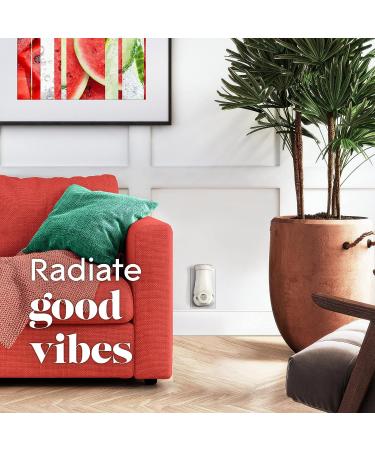 Glade PlugIns Refills 5 Count - Stay Cool Watermelon Scented Essential Oils for Home & Bathroom - 3.35 Fl Oz - Buy Online on GoSupps.com