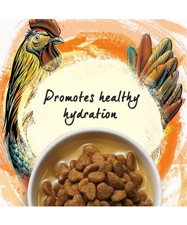 Purina Beyond Immune Support Chicken Bone Broth Cat Food Complement - 16 Pouches - Buy Online on GoSupps.com