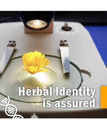 Herb Pharm Ashwagandha Tincture - Alcohol-Free 1 fl oz (30 ml) - Natural Stress Relief - Buy Online on GoSupps.com