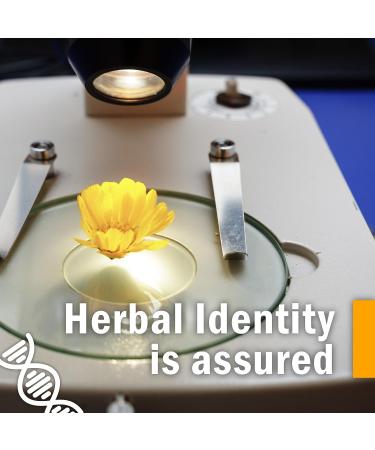 Herb Pharm Gum Guardian Herbal Mouthwash - Organic, 1 Fl Oz - Healthy Mouth and Gums - Buy Online on GoSupps.com