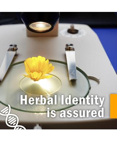 Herb Pharm Stinging Nettle Blend Liquid Extract - 4 oz | Natural Allergy Relief - Buy Online on GoSupps.com