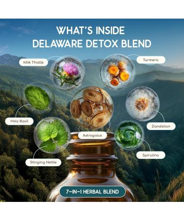 HerbEra Delaware Herbal Detox Blend - USDA Organic Extract Made in USA | Immune & Liver Support Liquid Drops | Astragalus Dandelion Root Milk Thistle Turmeric Holy Basil | 2 fl oz - Buy Online on GoSupps.com