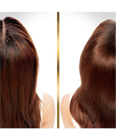 Pantene Pro-V Hair Biology Cleanse & Rebuild Shampoo with Conditioner - Buy Online on GoSupps.com