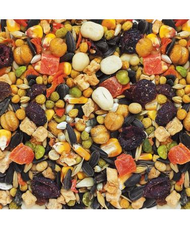 Hagen Gourmet Small Parrot Seed Mix 2 Kg + Gourmet Seed Mix for Cockatiels and Small Hookbills 1.3 Kg - Buy Online on GoSupps.com