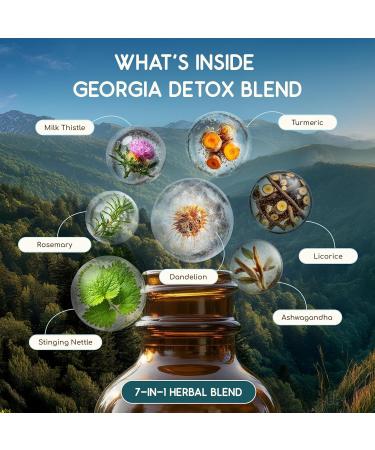 HerbEra Georgia Herbal Detox Blend - USDA Organic Extract Made in USA | Immune & Liver Support Liquid Drops | Ashwagandha Dandelion Root Licorice Milk Thistle Turmeric | 2 fl oz - Buy Online on GoSupps.com