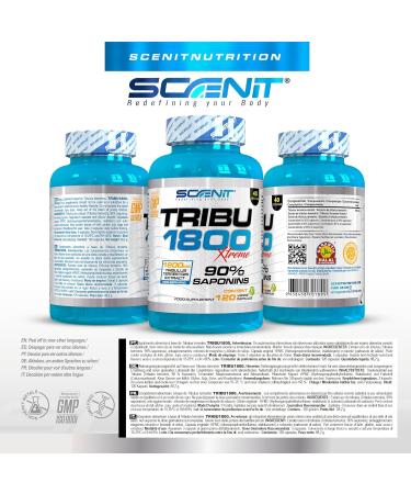 Buy Tribulus Terrestris 1800 mg - 90% Saponins - 120 Vegetable Capsules - Enhanced Performance & Vitality - Worldwide Shipping - Buy Online on GoSupps.com