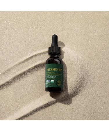 Global Healing Center VeganSafe B12 2500mcg Sublingual Liquid Drops | 2-in-1 Methylcobalamin & Adenosylcobalamin Blend for Energy, Mood, and Heart Health | 1 Fl Oz (2-Pack) - Buy Online on GoSupps.com