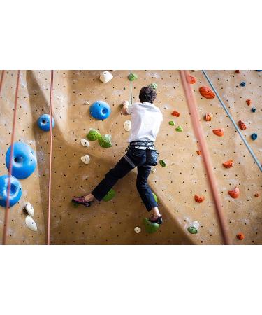 Cragbag Rock Climbing Chalk Bag Lightweight Nylon with Belt Strap, Brush Holder, Carabiner Loop, Zipper Pocket for Phone & Keys - Buy Online on GoSupps.com