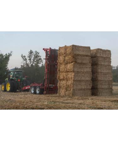 Organic Blue Mountain Hay Bedding Straw for Small Pets & Chickens - 3 lb Fresh Farm Delivery - Buy Online on GoSupps.com