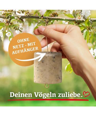DELICIA Premium Insect Bird Balls - 6 Pack for Garden & Wild Birds | Meisen Dumplings with Hangers - High-Quality Bird Feed - Buy Online on GoSupps.com