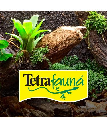 Reptomin Baby Shrimp Treats for TetraFauna - Nutritious Snacks for Pet Reptiles - Buy Online on GoSupps.com