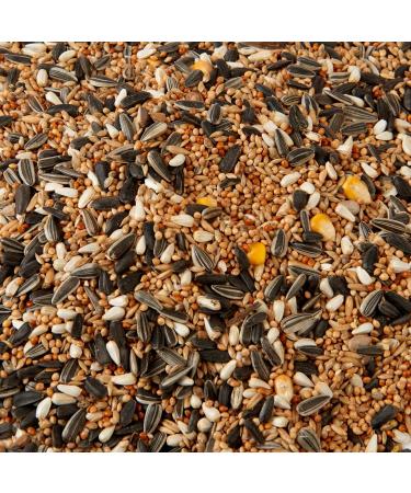 Premium Cockatiel & Parakeet Food Seed Mix 2.5L - Buy Online on GoSupps.com