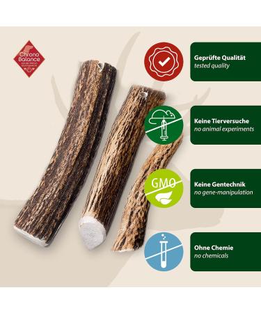 Chronobalance L Antlers Caustie for Dogs - Halved Dental Chew Toys 100% Deer Antler Sustainable Dog Bones for Dental Hygiene - 1 Piece - Buy Online on GoSupps.com