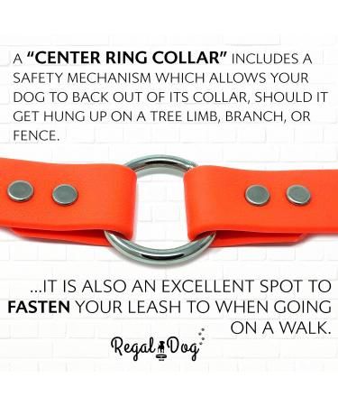 Regal Dog Products Waterproof Dog Collar & Leash Set (1.5m) - Perfect for Small Medium & Large Dogs - Durable Orange Design - Buy Online on GoSupps.com