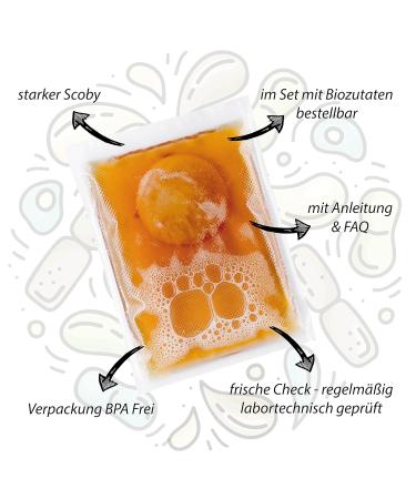 Helden Mazilz Organic Kombucha SCOBY | 100% Natural Tea Mushroom Kit | Makes Up to 6 Liters | Sustainable Plastic-Free Packaging | Perfect Gift Set - Buy Online on GoSupps.com