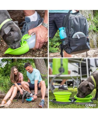 Travel Set: Foldable Dog Bowls & Water Bottle for On-the-Go - Gray | Essential Travel Accessories for Pets & Puppies - Buy Online on GoSupps.com