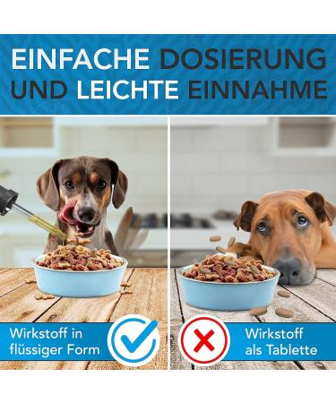 Vitamin B Complex for Dogs 30ml - Premium German Drops | Enhance Dog Health with Vitamin B - Buy Online on GoSupps.com