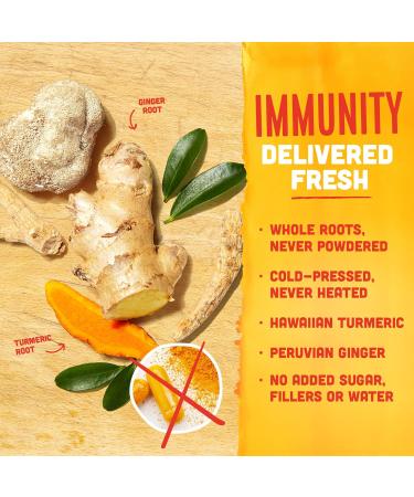 Vive Organic Energy Shot + Immune Support with Ashwagandha, Green Tea, Caffeine | 2 Fl Oz (Pack of 12) - Gluten Free, Vegan | Energy & Focus Boost - Buy Online on GoSupps.com
