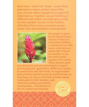 Equal Exchange Organic Ginger Herbal Tea - Caffeine Free, 20 Tea Bags (1.05 oz) - Buy Online on GoSupps.com
