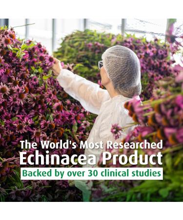 A. Vogel Echinaforce - Packaged Fresh Organic Echinacea Stronger Formula Than Dehydrated - 120 Tablets for Immune Support Supplement - Daily Herbal Immune Health Booster - Easy to Swallow 120 Count (Pack of 1) - Buy Online on GoSupps.com