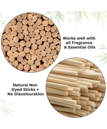 1st Deer Room Fragrance Sticks - 100 Natural Rattan Aroma Sticks (24cm) for Essential Oils & Spa Therapy - Buy Online on GoSupps.com