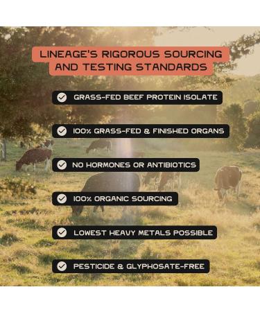 Lineage Provisions Micronized Creatine Monohydrate with Sea Salt - Micronized Creatine Powder for Training & Performance No Artificial Ingredients 90 Servings - Buy Online on GoSupps.com