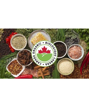 McCormick Gourmet Premium quality Natural Herbs & Spices Organic Lebanese 7-Spice Seasoning 41g - Buy Online on GoSupps.com