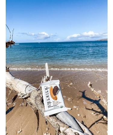 Elemental Superfood Dark Chocolate Almond Butter Seedbars - 12 Pack, 1.8 oz, Non-GMO, Organic, Gluten-Free, Dairy-Free, Plant Based - Buy Online on GoSupps.com