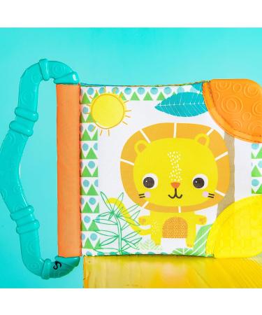 Bright Starts Teethe & Read Soft Book Toy  Ages 3 Months +  Style May Vary - Buy Online on GoSupps.com