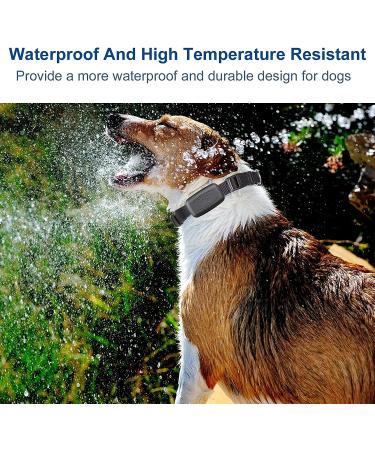 Waterproof GPS Tracker for Dogs - Unlimited Range, Compatible with Android & iOS - Buy Online on GoSupps.com