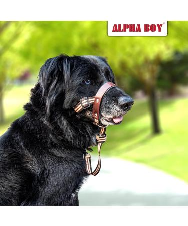 Alpha Boy Dog Training Collar | Comfortable & Gentle Handlebars for All Breeds | Real Leather Medium Harness with Quick Lock Buckle - Easy to Use - Buy Online on GoSupps.com