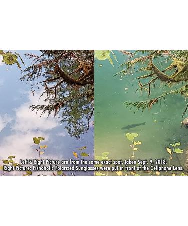 Fishoholic Polarized Fishing Sunglasses -5 Color Options- w Case Pouch UV400 Fishing Gift Gloss Black Blue Mirror - Buy Online on GoSupps.com