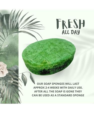 Perfume Fragranced Exfoliating Soap Sponge - Vegan & Cruelty-Free Olive Soap Sponge - Buy Online on GoSupps.com