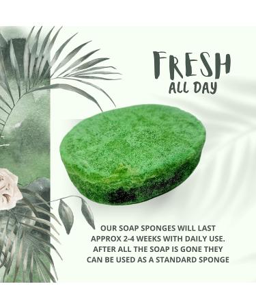 Handmade Exfoliating Soap Sponges Perfume Fragranced Vegan Friendly Cruelty Free Soap Sponge Vegan Soap Sponge Vegetable Glycerin Exfoliating Sponge for Bath & Shower Vegan Gift (Hammam Scent) - Buy Online on GoSupps.com