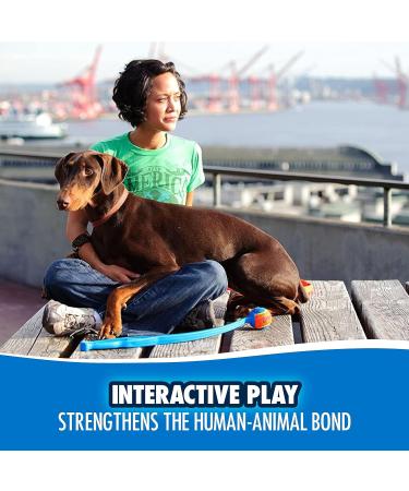 Chuckit! Fetch & Fold Dog Ball Launcher Set - Hands Free Rubber Fetch Toy for Dogs - Buy Online on GoSupps.com