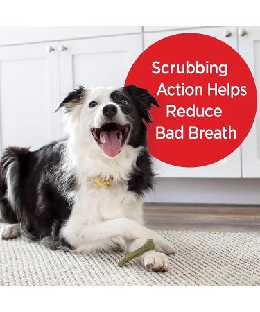 Milk-Bone Fresh Breath Brushing Chews - 25 Small/Medium Dental Dog Treats - Buy Online on GoSupps.com