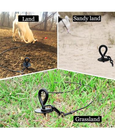 Dog Tie Out Stake for Large Dogs Heavy Duty Dog Ground Stake for Yard Camping Or at The Beach Rust Proof Dog Anchor Yard Stake Holds The Dogs Over 150lbs Dog Stake - Buy Online on GoSupps.com