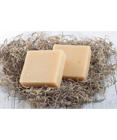 360Feel Bay Rum Soap - Handmade Men's Bar with Woodsy Spicy Scent - Perfect Gift for Men - Castile Shaving Soap - Buy Online on GoSupps.com