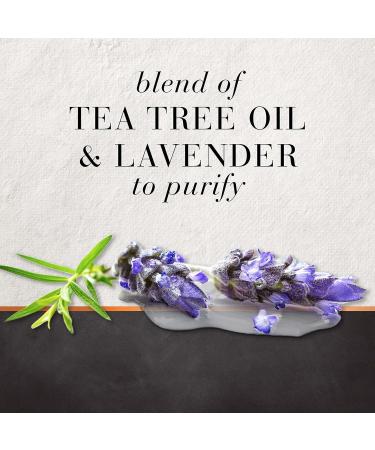 Buy Hair Food Shampoo with Tea Tree & Lavender Water - 10.1 Oz | International Shipping Available - Buy Online on GoSupps.com
