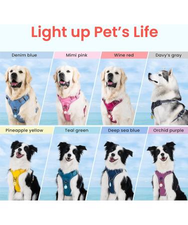 Pawaii XS Dog Harness for Small Dogs - Anti-Pull Reflective Adjustable Breathable Chest Harness with Handle - Deep Sea Blue - Buy Online on GoSupps.com