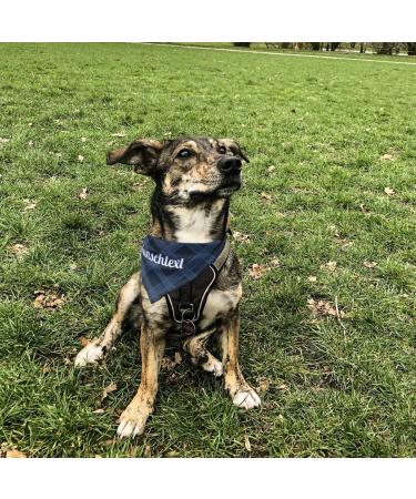 Printplanet Dog Scarf with Custom Name/Text | Blue Checkered Pattern | Size S - Stylish & Unique Dog Accessories - Buy Online on GoSupps.com