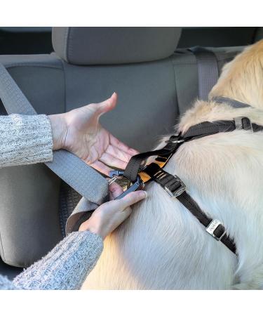 Kurgo Tru-Fit Dog Harness - Crash Tested Car Seat Belt for Small Dogs (2-5 kg) - Size L Purple - Buy Online on GoSupps.com