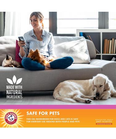 Arm & Hammer for Pets Pet Scents Room Spray 18 oz - Lavender Fields Pet Odor Eliminator - Home Air Freshener for Dog Odors - Buy Online on GoSupps.com
