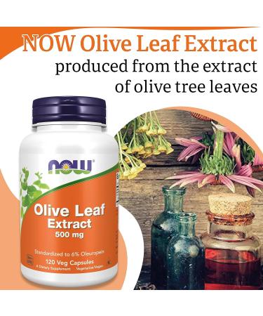 Now Foods Olive Leaf Extract 500mg High Oleuropein Vegan Capsules | Lab-Tested, Soy Free, Gluten Free, Non-GMO - Buy Online on GoSupps.com