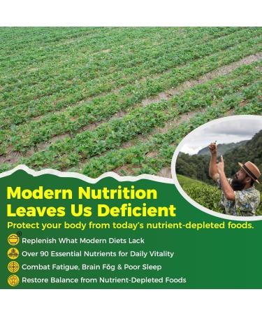 Organic Moringa Spirulina Gummies 1000mg of Pure Nutrient-Rich Moringa Extract w/ Vitamin D3 B12 Magnesium Zinc Wheatgrass & Chlorella for Energy Immune Gut Support Green Antioxidant Superfood 60 Count (Pack of 2) - Buy Online on GoSupps.com