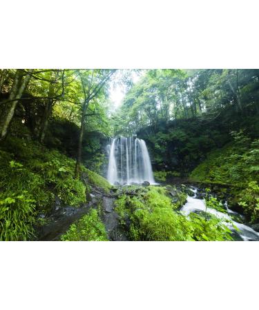 Rock Water n 27 Fleur de Bach farmaflor 1 Flacon Comtpe Gouttes 10ml - Made in Italy - Buy Online on GoSupps.com