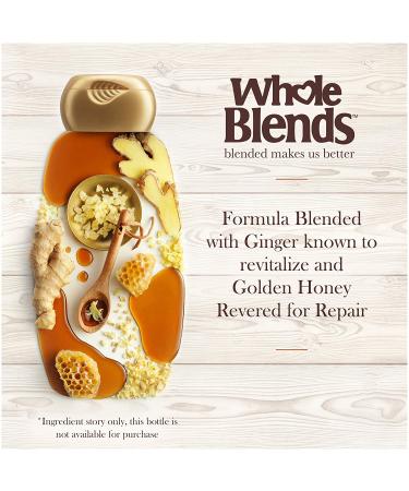 Garnier Whole Blends Ginger Recovery Strengthening Conditioner 12.5 fl oz - Restore & Nourish Hair - Buy Online on GoSupps.com