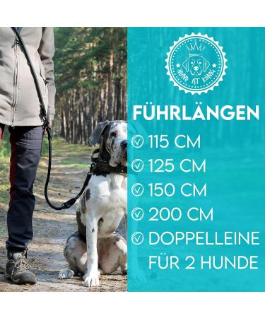 Buy Dog is K nig Adjustable 2.3m Dog Leash | Robust with Security Carabiner | 3-Way Adjustable for Medium & Large Dogs | Durable Black Leash with Leather Caps - Buy Online on GoSupps.com