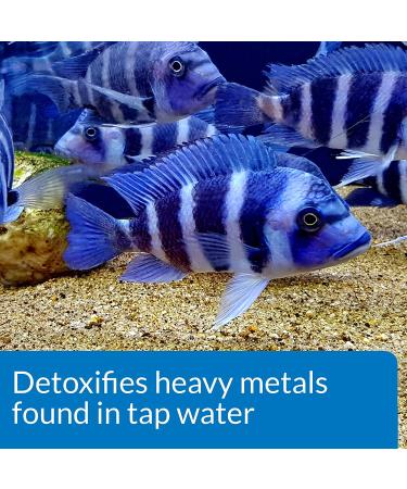 API Tap Water Conditioner for Aquariums - 1 Oz | Effective Water Treatment - Buy Online on GoSupps.com