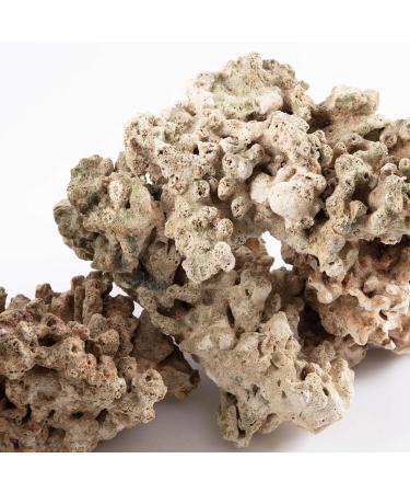 Aquarium Dried Reef Rock Mixed Pack (5kg) 5 kg (Pack of 1) - Buy Online on GoSupps.com